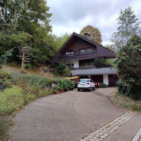Feldbergsicht Apartman Lenzkirch Kültér fotó