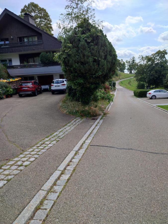 Feldbergsicht Apartman Lenzkirch Kültér fotó