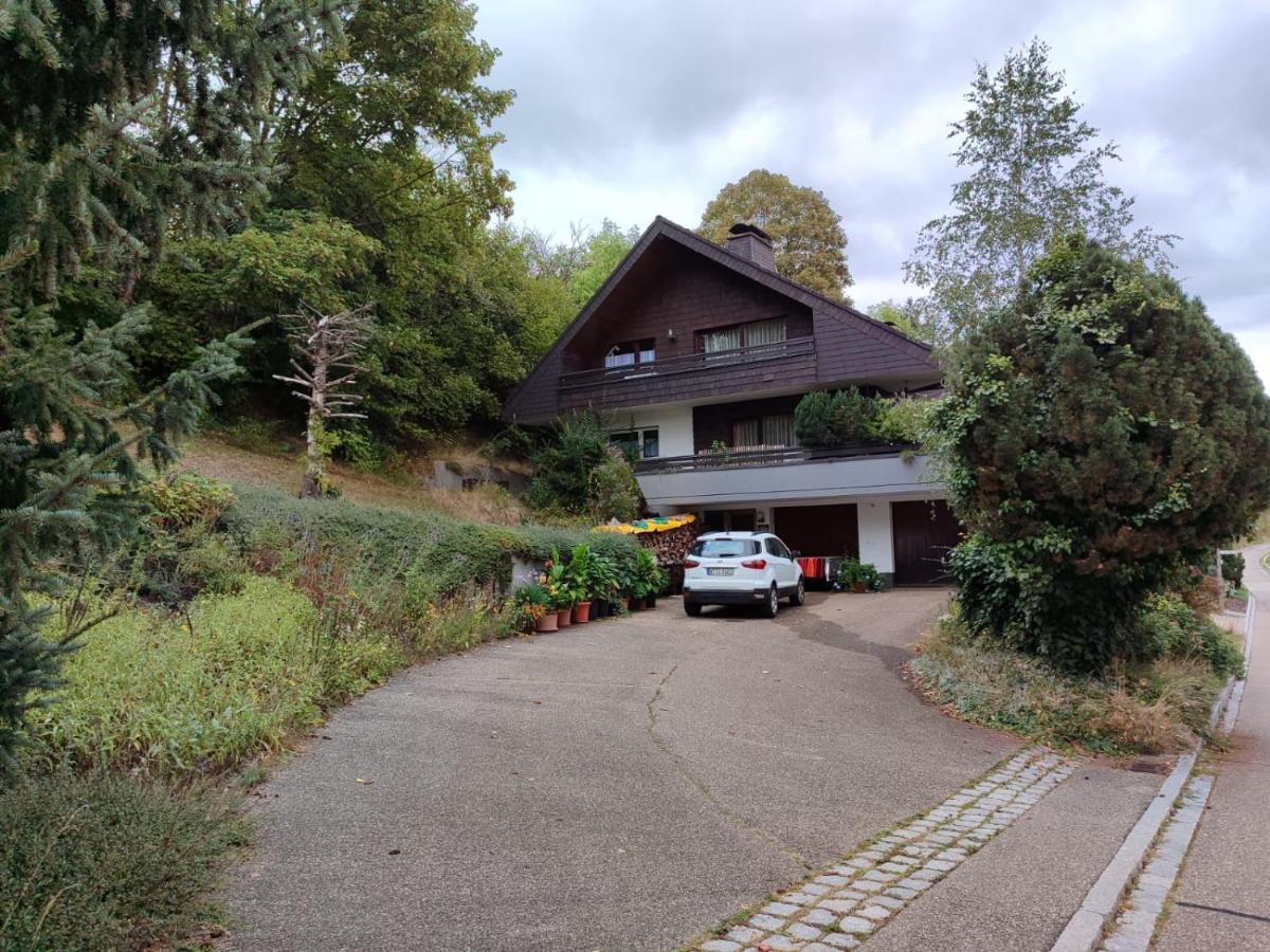 Feldbergsicht Apartman Lenzkirch Kültér fotó