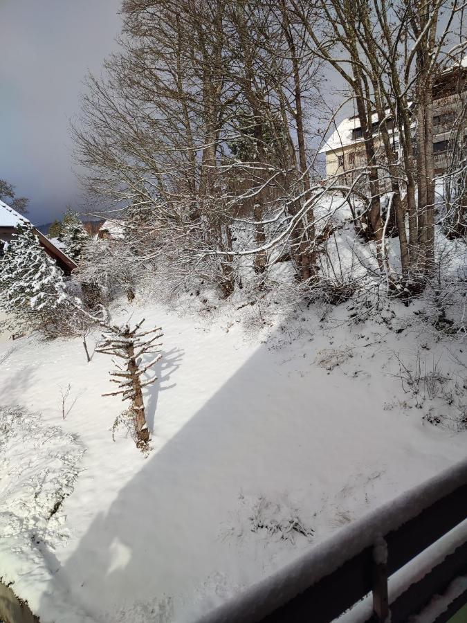 Feldbergsicht Apartman Lenzkirch Kültér fotó