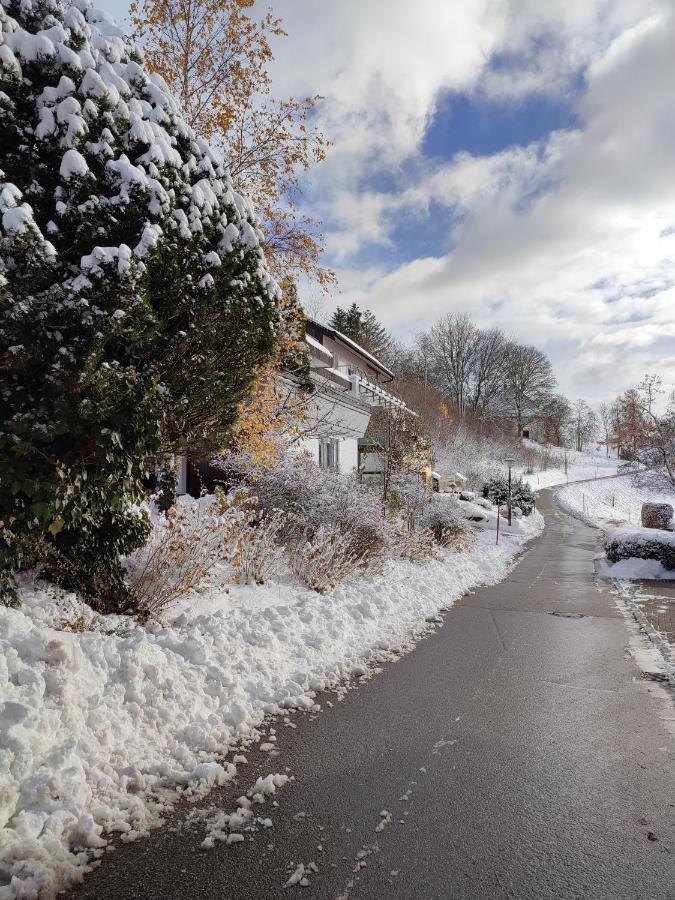 Feldbergsicht Apartman Lenzkirch Kültér fotó