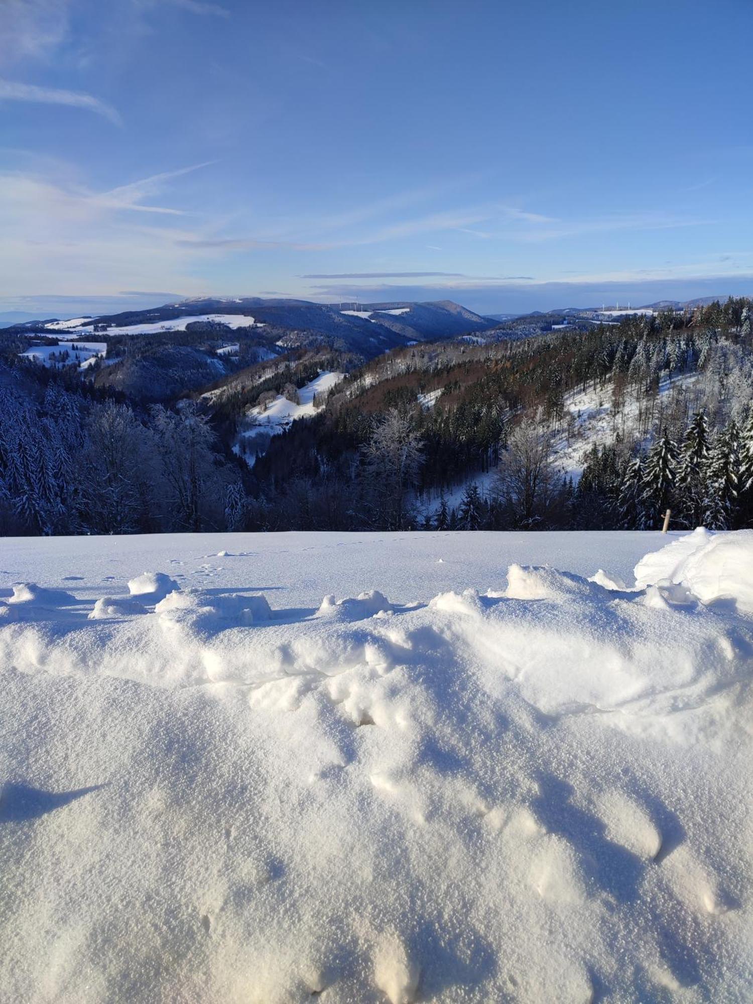 Feldbergsicht Apartman Lenzkirch Kültér fotó